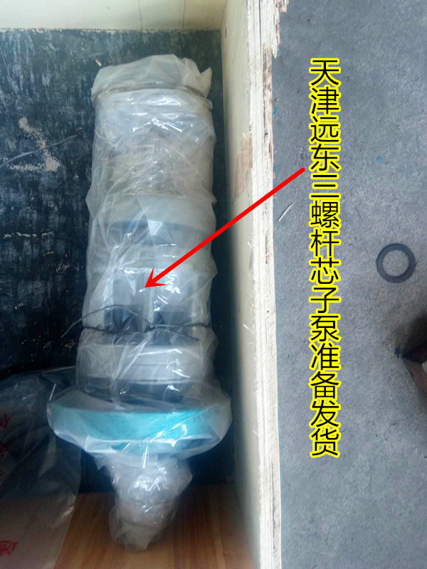 津遠(yuǎn)三螺桿芯子泵 津遠(yuǎn)三螺桿芯子泵