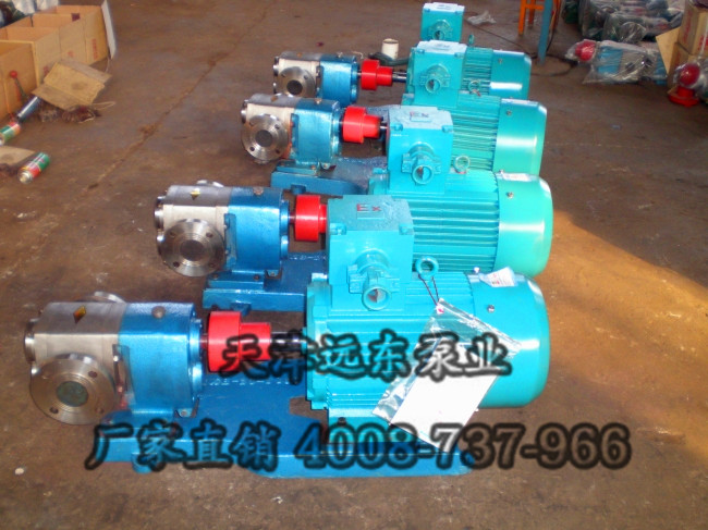 不銹鋼齒輪泵 不銹鋼齒輪泵